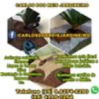 Carlos dos reis jardineiro