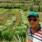 Adeir Reis