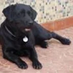 Diego Felipe