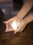 lucianacalegario3