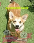 Mia 01199000-4232