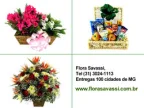 florasavassi
