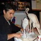 constantinoedilson