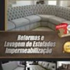 Tom Tapecaria