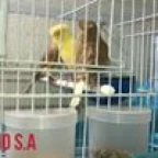 sergioagrassar