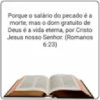 Jose Almeida