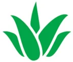 Aloe_Aloe