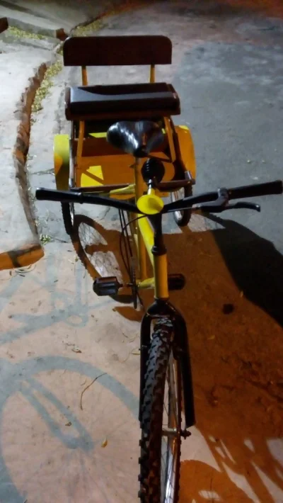 Bicicleta Triciclo