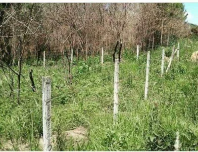 Vende-se Lote em São José do Almeida, Região Serra do Cipó