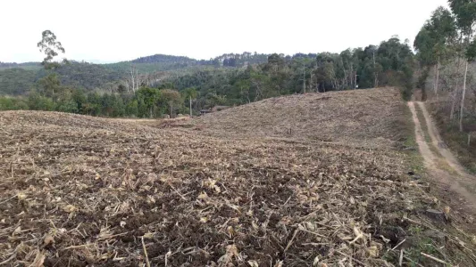 Terreno Rural