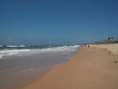 2/4 com