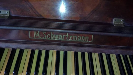 M. Schwartzmann. Vertical , Otimo Estado