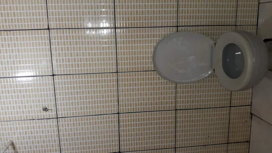 Bom Bonito e Barato