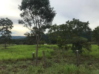 Chácara com Corrego