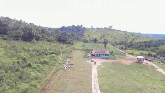 Vendo Lotes no Estado do Pará