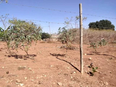 Venda-se Lote - Mateus Leme - Jardim de Alah