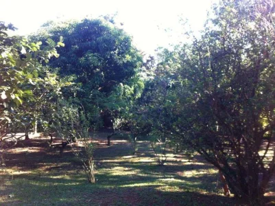 Vendo Terreno Monterrey Louveira