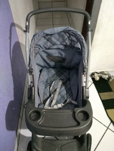 Carrinho de Bebê Marca Borigotto