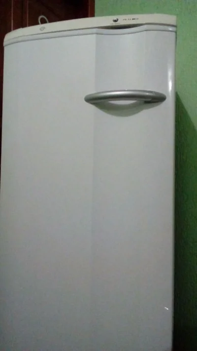 Freezer Electrolux Fe 22 Vertical