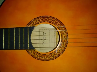 Vendo Violão