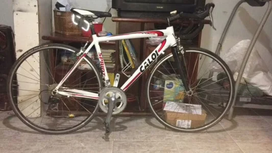 Caloi Sprint 20