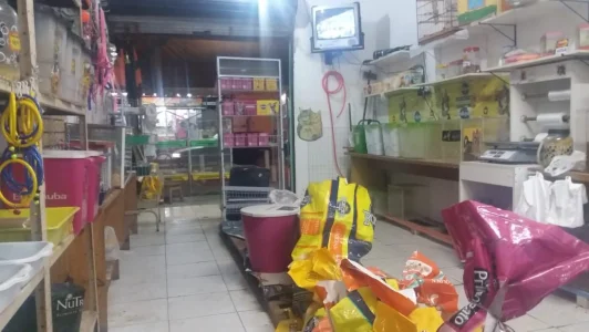 Passo Loja Pet Shop