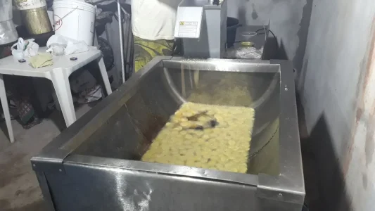 Banana Chips (produtora)