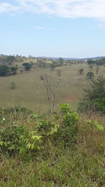 Lote em Capim Branco