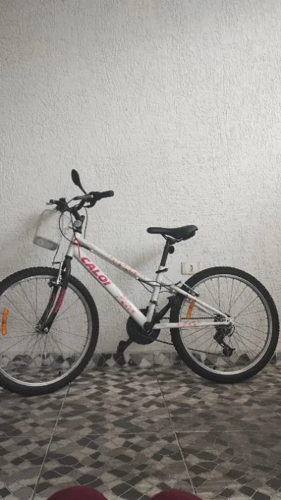 Bicicleta Caloi Ceci Aro 20