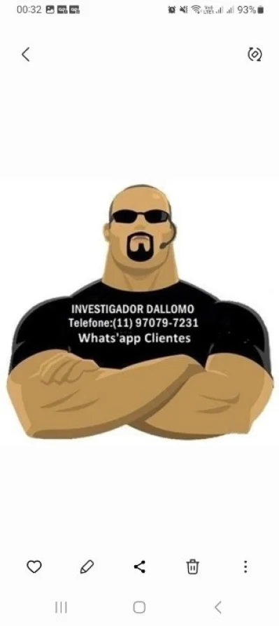 Investigador Dallomo Serviços 24h