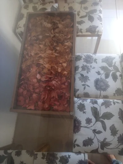 Mesa com 6 Cadeiras