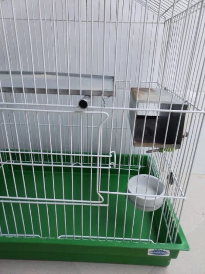 Gaiola para Chinchila