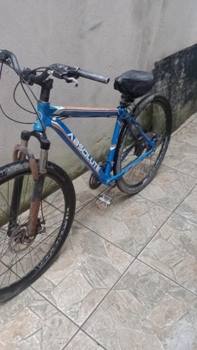Bicicleta Absoluta Aro 29