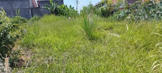 Terreno 125 M2em São Pedro- Rua da Baleia-sanana de Parnaíba-facili