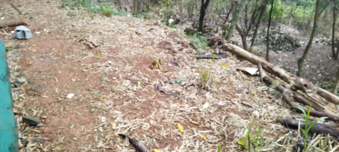 Terreno com 140 m2 -cajamar ao Lado do Parque S.pe