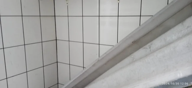 Sobrado para Venda Parque Edu Chaves