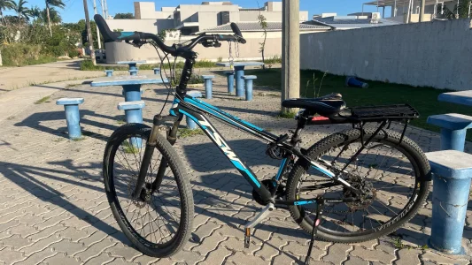 Bicicleta Estilo RJ Aro 29 Tsw