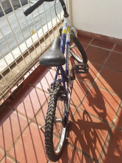 Bicicleta Aro 20
