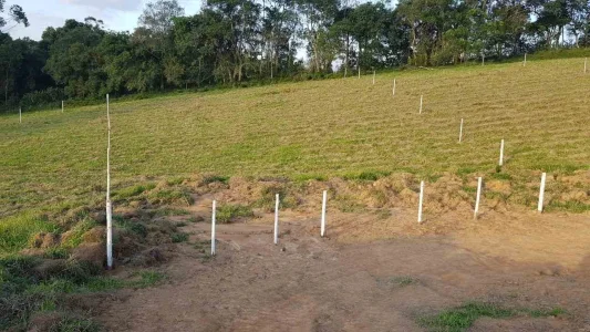 Vendo Meu Lote Barato