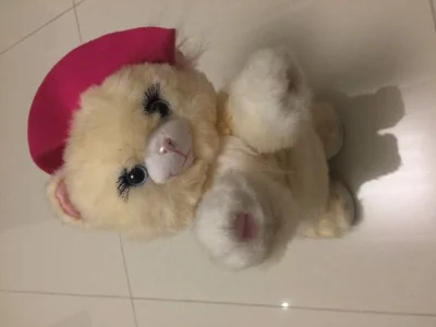 Gatinha Robo