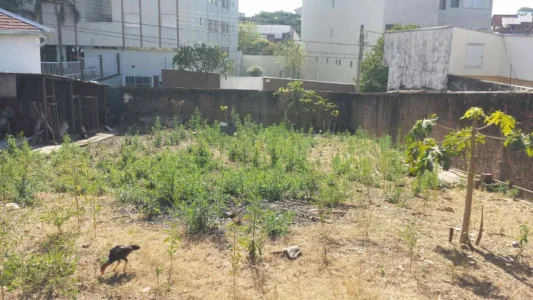 Vende Terreno Americana, SP
