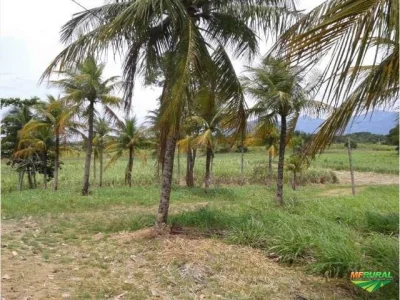 Terrenos / Lotes