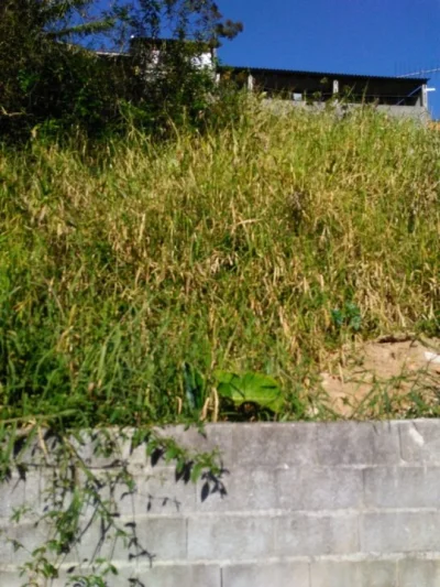 Terreno ótima Localização