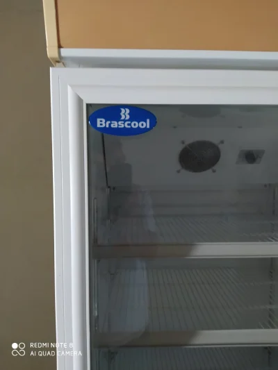 Freezer Brascool
