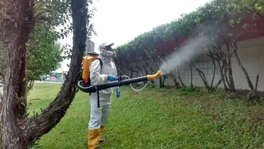 Dedetização e Desratização