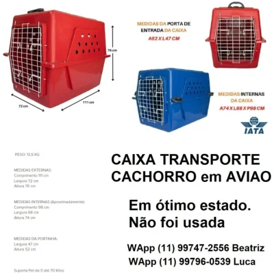 Caixa de Transporte Grande para Caes Grandes Reforçada N6