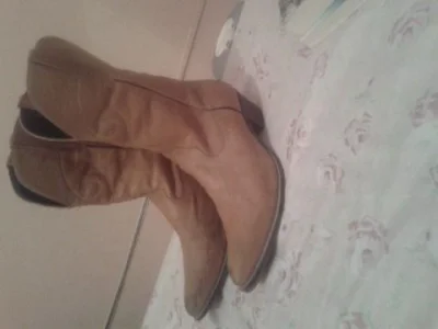 Bota Texana
