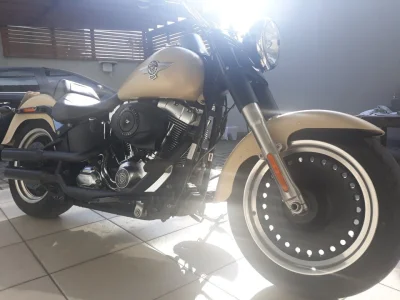 Harley Davidson Fat Boy Special