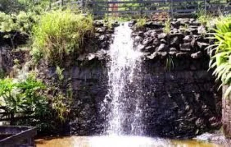 Atibaia / Campo Limpo Paulista