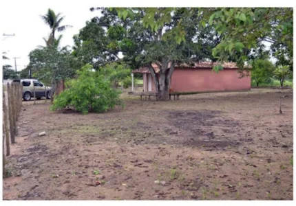 Vende-se uma Roça na Pedra Ferrada Oportunidade